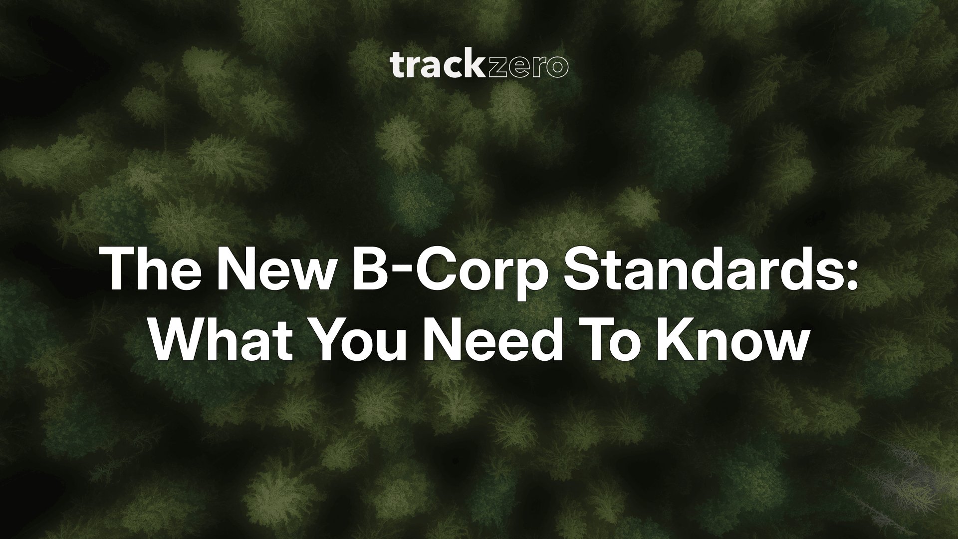 The New B Corp Standards: What You Need To Know